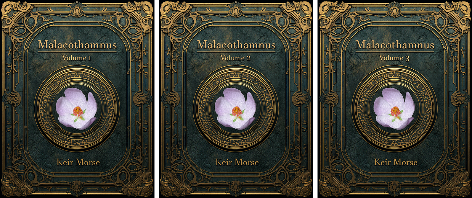 Image of 3-volume Malacothamnus monograph